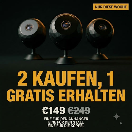 Schützedeinpferd™
